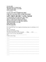 LÊN MEN RƯỢU VANG XOÀI