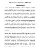 Tổng quan về công ty cổ phần khí cụ điện I