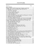 Nâng cao năng lực cạnh tranh của Ha Noi Open Tours khi Việt Nam gia nhập WTO