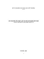 Các nguyên tắc pháp luật xã hội chủ nghĩa Việt Nam Thời kỳ đổi mới và hội nhập quốc tế