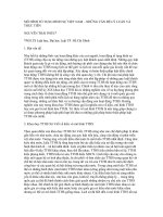 MÔ HÌNH TỐ TỤNG HÌNH SỰ VIỆT NAM – NHỮNG VẤN ĐỀ LÝ LUẬN VÀ THỰC TIỄN