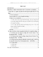 PHÂN TÍCH DÂN SỐ VÀ NGUỒN LAO ĐỘNG