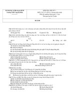 Đề thi môn Vật lý khối 10