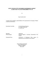 ENTRY STRATEGY INTO VIETNAMESE ENVIRONMENTAL MARKET A CASE STUDY OF ALTECH ENVIRONMENT PTE LTD