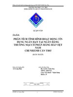 PHÂN TÍCH TÌNH HÌNH HOẠT ĐỘNG TÍN  DỤNG NGẮN HẠN TẠI NGÂN HÀNG  THƯƠNG MẠI CỔ PHẦN HÀNG HẢI VIỆT  NAM CHI NHÁNH CẦN THƠ (BẢN NHÁP)