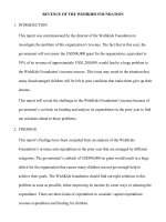 Mini report - Bài mẫu