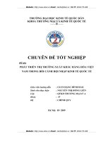 PHÁT TRIỂN THỊ TRƯỜNG XUẤT KHẨU HÀNG HÓA VIỆT NAM TRONG BỐI CẢNH HỘI NHẬP KINH TẾ QUỐC TẾ