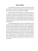 Huy động vốn tại công ty xuất nhập khẩu xi măng, trực thuộc tổng công ty xi măng Việt Nam