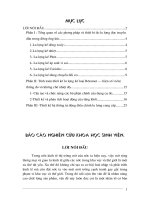 Nghiên cứu các thiết bị đo lưu lượng bằng phương pháp kiểu điện cảm mạch từ hở