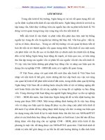 Một số giải pháp tạo vốn và nâng cao hiệu quả tín dụng của Sở Giao dịch Ngân hàng Nông nghiệp và Phát triển nông thôn Việt Nam