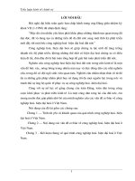 Quá trình công nghiệp hóa hiện đại hóa ở Việt Nam