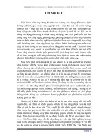 SỞ HỮU TRÍ TUỆ VÀ SỞ HỮU CÔNG NGHIỆP