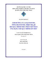 ẢNH HƯỞNG CỦA LOẠI ENZYME,  NỒNG ĐỘENZYME, NHIỆT ĐỘ, pH  ĐẾN QUÁ TRÌNH THỦY PHÂN NẾP THAN  ỨNG DỤNG CHO QUÁ TRÌNH LÊN MEN