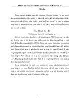 quan hệ giữa công bằng xã hội – phát triển kinh tế