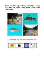 Đánh Giá Khu Hệ Cá Vùng Cảnh Quan  Khu Vực Dự Án Hành Lang Xanh, Tỉnh Thừa Thiên Huế
