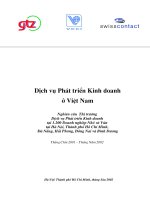 Dịch vụ phát triển kinh doanh ở Việt Nam