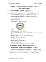 TÌM HIỂU CHUNG VỀ TỔNG CÔNG TY ĐIỆN LỰC TP HCM