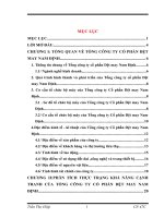 giải pháp nâng cao khả năng cạnh tranh của Tổng công ty Cổ phần Dệt May Nam Định
