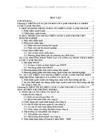 Chiến lược cạnh tranh trên thị trường thị trường nội địa của công ty cổ phần May 10