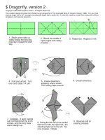 Dragonfly, version 2