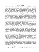 Quá trình hình thành và phát triển nền kinh tế thị trường định hướng XHCN ở nước ta hiện nay