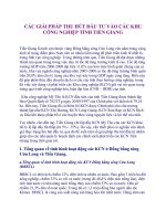 CÁC GIẢI PHÁP THU HÚT ĐẦU TƯ VÀO CÁC KHU  CÔNG NGHIỆP TỈNH TIỀN GIANG