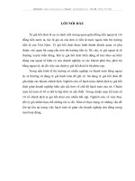 CƠ SỞ LÝ LUẬN CỦA HẠCH TOÁN CHÊNH LỆCH TỶ GIÁ HỐI ĐOÁI