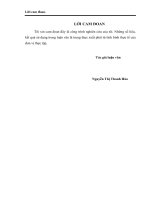 THỰC TRẠNG HOẠT ĐỘNG ĐỊNH GIÁ BẤT ĐỘNG SẢN THẾ CHẤP TẠI MỘT SỐ NHTM VIỆT NAM