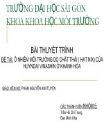 Ô NHIỄM MÔI TRƯỜNG DO CHẤT THẢI ( HẠT NIX) CỦA HUYNDAI VINASHIN Ở KHÁNH HÒA