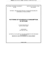 PATTERNS OF HOUSEHOLD CONSUMPTION  IN VIETNAM