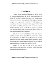 Kế toán chi phí sản xuất và tính giá thành sản phẩm tại Công ty TNHH Hoá Dệt Hà Tây