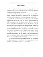 Mô hình cân bằng và ứng dụng trong phân tích chính sách