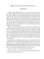 Những giải pháp phát triển cây ngô thương phẩm năng suất cao của Việt Nam đến năm 2010