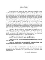 Một số giải pháp nâng cao hiệu quả kinh doanh của công ty TNHH Phúc Thăng Long