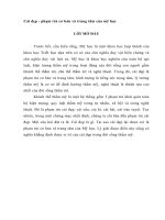 Cái đẹp - phạm trù cơ bản và trung tâm của mỹ học