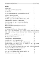 NGHIÊN CỨU THUẾ THU NHẬP DOANH NGHIỆP (TNDN) VÀ THUẾ THU NHẬP CÁ NHÂN (TNCN) ĐẾN CẤU TRÚC VỐN CỦA MỘT DOANH NGHIỆP