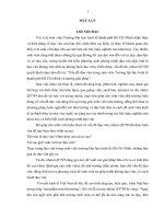 THỰC TRẠNG ĐẠO VĂN TRONG SINH VIÊN KINH TẾ