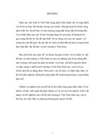 nghiên cứu vấn đề môi trường ở Việt Nam hiện nay