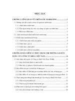 496 Xây dựng chiến lược Marketing cho sản phẩm Gas dân dụng của Công ty Shell Việt Nam đến năm 2010