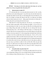 Xây dựng các tiêu thức phân đoạn thị trường của  gói sản phẩm Free & Easy trong phân khúc thị trường FIT