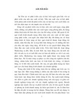 Các giải pháp Marketing nâng cao khả năng cạnh tranh trong đấu thầu lắp đặt máy phát điện của Công ty TNHHCát Lâm (51tr)