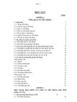 303 Một số giải pháp phát triển Công ty Viễn thông liên tỉnh (VTN) đến năm 2010