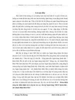 Hoàn thiện công tác thẩm định rủi ro dự án xin vay vốn tại Ngân hàng TMCP Quân đội – chi nhánh Điện Biên Phủ
