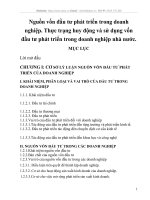 Nguồn vốn đầu tư phát triển trong doanh nghiệp. Thực trạng huy động và sử dụng vốn đầu tư phát triển trong doanh nghiệp nhà nước