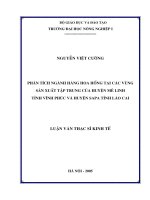 PHÂN TÍCH NGÀNH HÀNG HOA HỒNG TẠI CÁC VÙNG SẢN XUẤT TẬP TRUNG CỦA HUYỆN MÊ LINH TỈNH VĨNH PHÚC VÀ HUYỆN SAPA TÌNH LÀO CAI