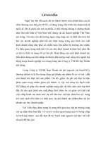 hạch toán nguyên vật liệu