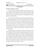 Nâng cao giải pháp quản lý rủi ro tín dụng tại Ngân Hàng Nông Nghiệp Và Phát Triển Nông Thôn Việt Nam- Chi Nhánh Hoàng Mai