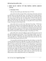 thị trường chứng khoán hiện nay