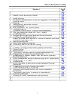 chuẩn mực kiểm toán Việt nam - english