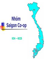 Đánh giá hệ thống siêu thị Sài Gòn Co-op